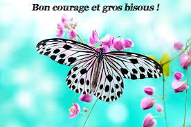 Bon Courage Recherche Google Fond D Ecran Papillon Fond Papillon Beaux Papillons Bon Courage Recherche Google Fond D Ecran Papillon Fond Papillon Beaux Papillons