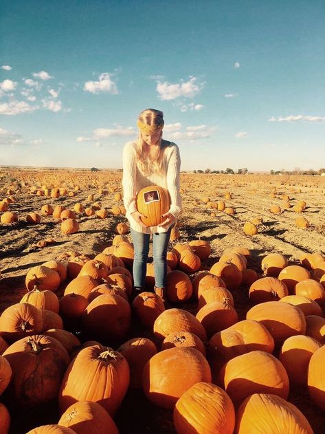 Asian pumkin and pregnancy