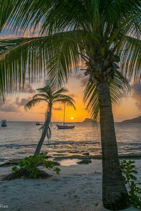 Pin By Dps On Nature With Images Palm Island Beautiful Sunset Pin By Dps On Nature With Images