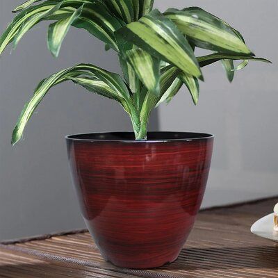 Wrought Studio Osoba Patio Resin Pot Planter In 2021 Planters Large Indoor Plants - Large Plastic Patio Planters Wrought Studio Osoba Patio Resin Pot Planter In 2021 Planters Large Indoor Plants - Large Plastic Patio Planters