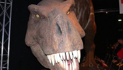 Cómo Hacer Un Dinosaurio De Papel Maché Sobres De Papel Papel Mache Cómo Hacer