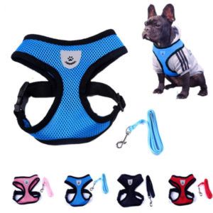 Dog Collars Harnesses Leads Dog Harness Cute Dog Harness Cute