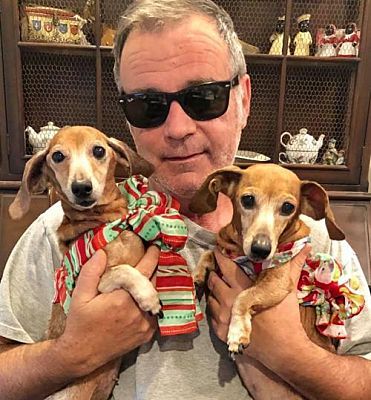 Texarkana Tx Dachshund Meet Fefe And Belle Adoption Pending A