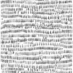 Papier Peint Magnolia Home Pick Up Sticks Par En Noir Decoration Murale Chez Anthropologie Magnolia Homes Home Wallpaper Farmhouse Wallpaper