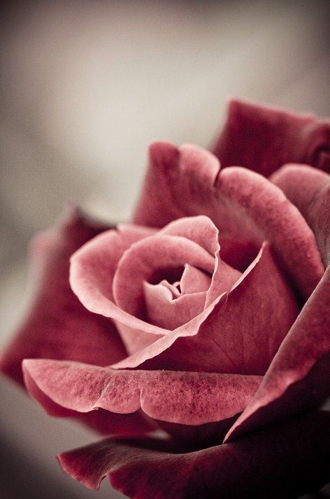 صور اسم نجاة مزخرف انجليزى معنى اسم نجاة و شعر و غلاف و رمزيات Health Fashion Beauty Fb Quote