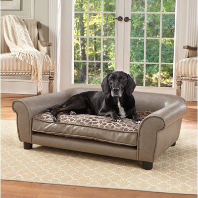 Archie Oscar Consuelo Dog Sofa Reviews Wayfair Dog Sofa Bed Pet Sofa Bed Dog Sofa