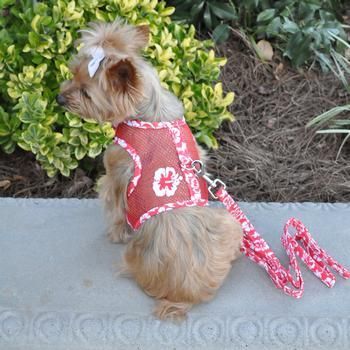 Cool Mesh Dog Harness Leash Print Red Dog Harness Dog Design
