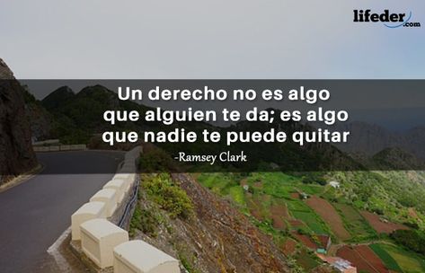 101 Frases De Derechos Humanos De Niños Y Adultos Frases Sobre El Derecho Imagenes De Los Derechos Día De Los Derechos Humanos