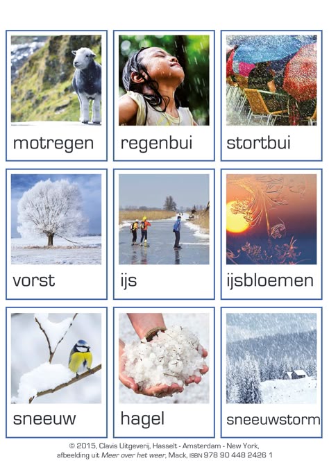 De 890 beste afbeeldingen van Woordenschat | Woordenschat soorten bruggen | Woordenschat, Aardrijkskunde, Taal