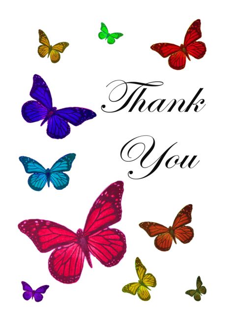 thank you butterflies card butterfly cards cards butterfly thank you butterfly