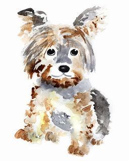 Simple Wonderful Watercolors Watercolor Dog Pet Portraits