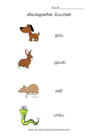 preschool odd one out worksheets for ukg schematic and wiring diagram