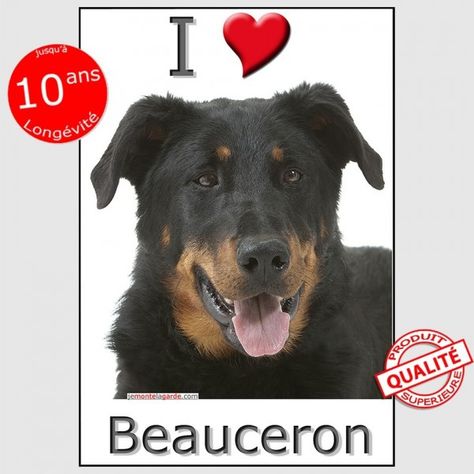 chien de berger fenêtre pare-chocs décalque SIGNE Cadeau Pet-V01 Beauceron Autocollant Voiture