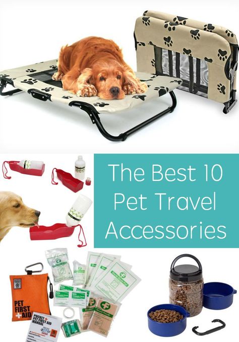 The Top 10 Accessories For Traveling With Pets Pet Travel