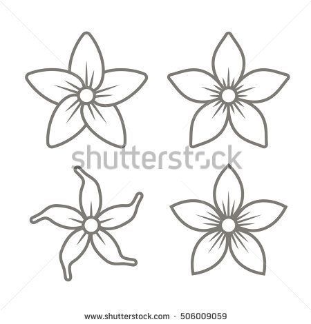 Jasmine Flower Sketch Flower Drawing Flower Sketches Flower Icons