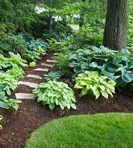 Under Tree Landscaping Ideas