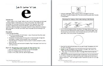 Lab: Letter "e" Lab | Letter e, Lettering, Microscopic images