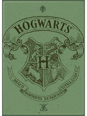 Harry Potter Witchcraft /& Wizardry Micro Raschel Throw Blanket