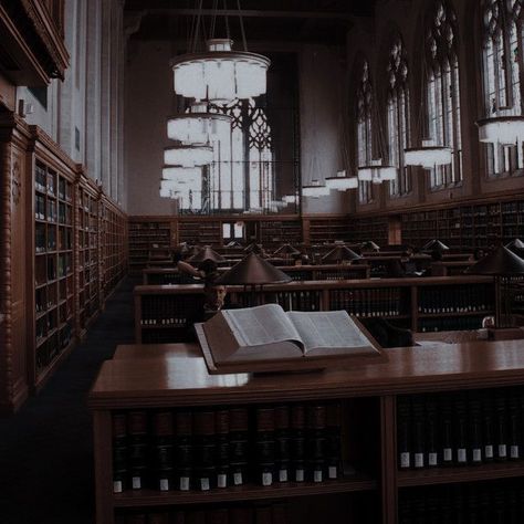 pix Dark Academia Royal Library Aesthetic 210 royal dark academia ideas in 2021