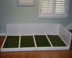 22 Best Indoor Dog Potty Images On Pinterest 22 Best Indoor Dog Potty Images On Pinterest Outdoor And Training