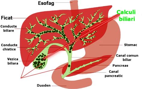 virusul papiloma tratament
