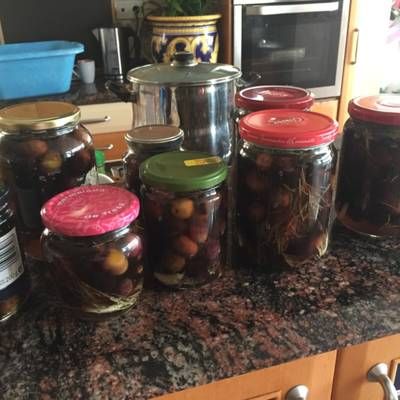 como mantener aceitunas en salmuera