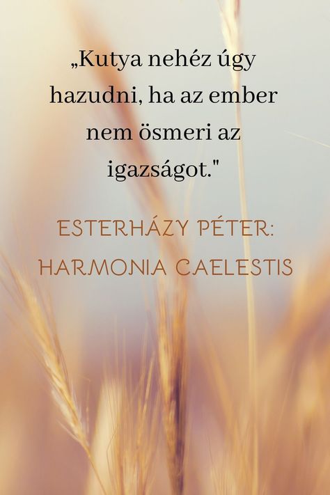 Archívum: Esterházy érettségije - paneer.hu