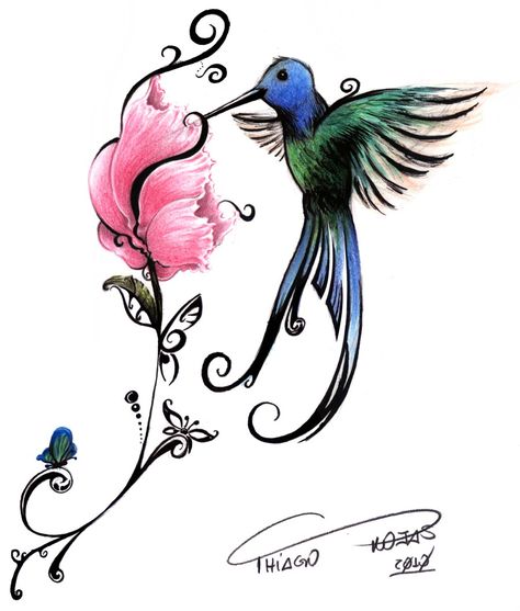 Um Lindo Beija Flor Beija Flor Desenho Desenhos Para Pintura