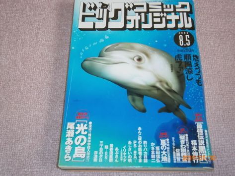 Idei Na Temu Makoto Muramatsu 900 V 21 G Koshki Koshachij Art Kot Idei Na Temu Makoto Muramatsu 900 V 21 G Koshki Koshachij Art Kot