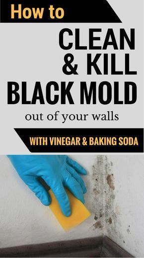 How To Clean Kill Mold Off Your Walls With Vinegar And Baking Soda Cleaning S Black House Tips - Cleaning Mouldy Bathroom Walls With Vinegar And Baking Soda How To Clean Kill Mold Off Your Walls With Vinegar And Baking Soda Cleaning S Black House Tips - Cleaning Mouldy Bathroom Walls With Vinegar And Baking Soda