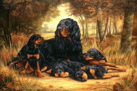 GORDON SETTER AND POINTER CHARMING DOG GREETINGS NOTE CARD TWO BEAUTIFUL DOGS