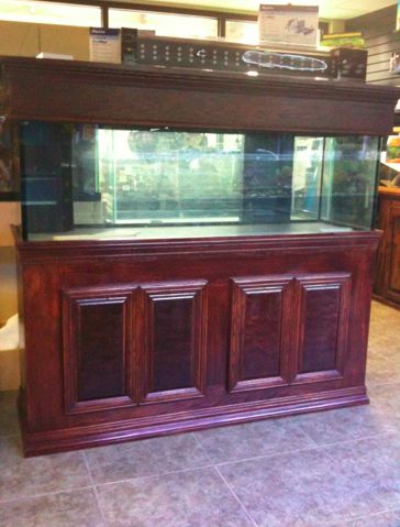 98 Best Aquarium Stands Images Stand 98 Best Aquarium Stands Images