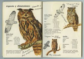 Pin En Aves