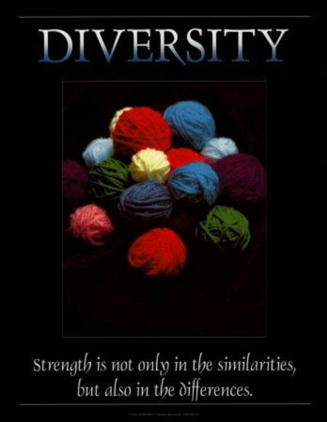 inclusion equality and diversity essay