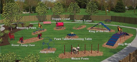 Expert Dog Obstacle Course Dogs Dog Walking Landscape Services