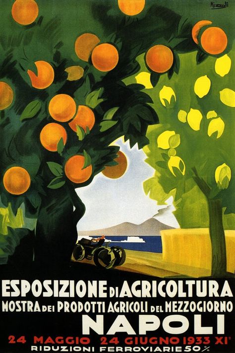California Oranges Farm Juice American USA Fruit Vintage Poster Repo FREE S//H