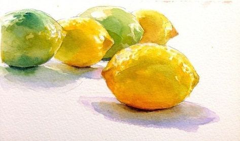 Nature Morte Au Jaune Citron Aquarelle Et Mine De Plomb Frederic