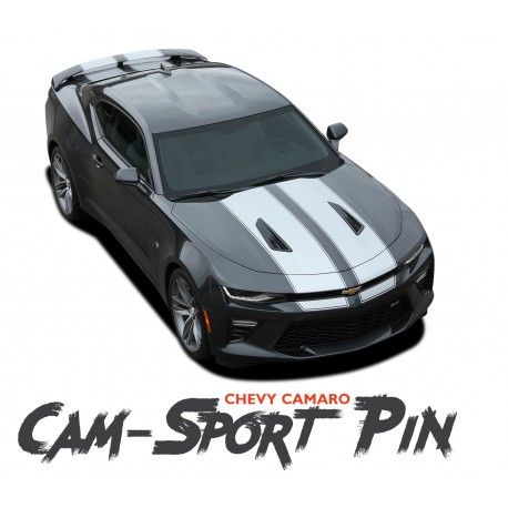 automotive-decals-pin-strip-kits