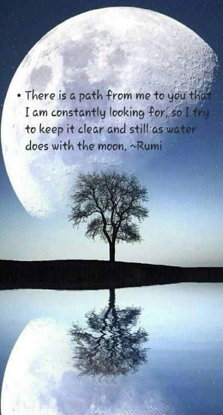 Pin on Funny Quotes Pin on Funny Quotes