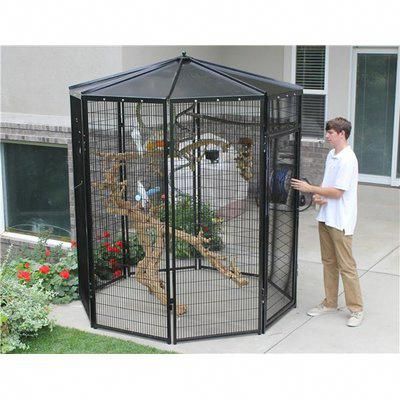 bird cages near me
