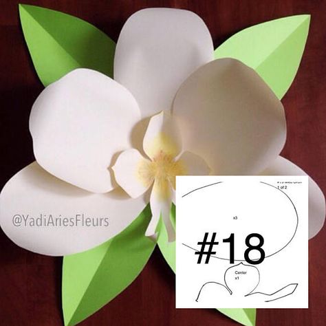 orchid paper flower template how to make orchid paper flower