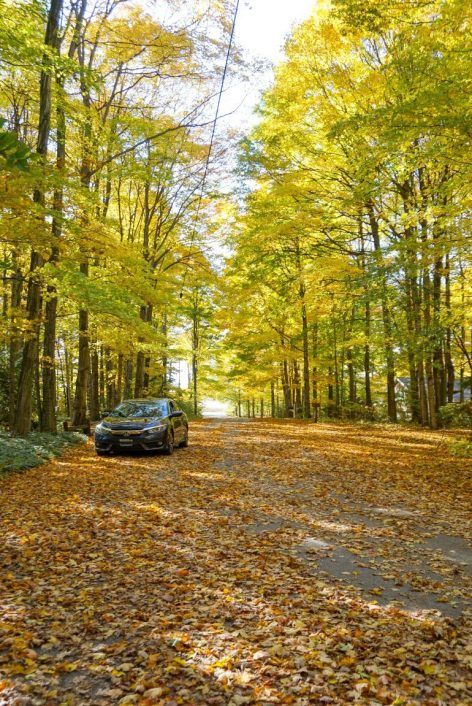 Fall Colors In Door County The Most Stunning Drive Through Northern Wisconsin This Darling World Door County Wisconsin Fall Colors