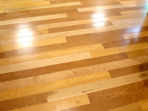 Multi Color Hardwood Flooring For The Home Floors Two Tone Hardwood Floors