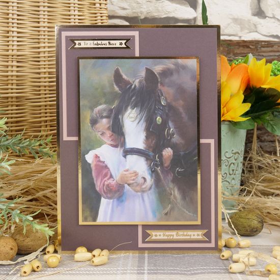 Hunkydory Carte 12 Toppers beau cheval images "Horse & COUNTRY" voir photos Hunkydory Carte 12 Toppers beau cheval images "Horse & COUNTRY" voir photos