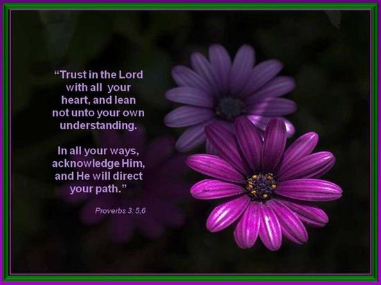18 Proverbs 3:5-6 and more ideas | proverbs, proverbs 3 5 6, proverbs 3