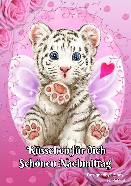Katzenliebe Postkarte Küsschen
