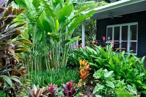 21 Tropical Garden Design Ideas 21 Tropical Garden Design Ideas, Tropical Garden Designs Queensland