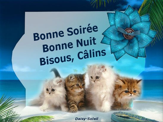 Bonne Soiree Bonne Soiree