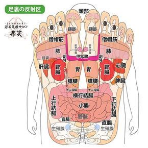 85 足部反射区ideas 85 足部反射区ideas