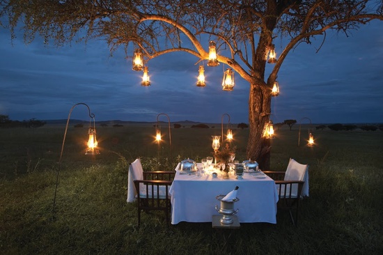 24 Dinner Under the Stars ideas | under the stars, romantic dinners, romantic beach